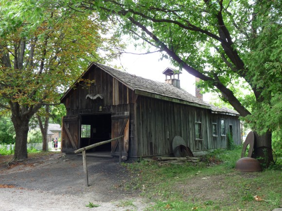 Clearing in the Woods